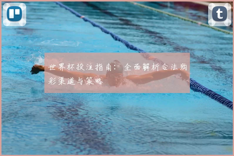 世界杯投注指南：全面解析合法购彩渠道与策略