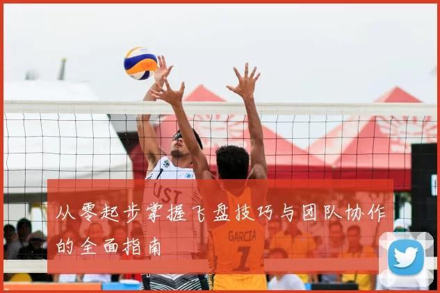 从零起步掌握飞盘技巧与团队协作的全面指南