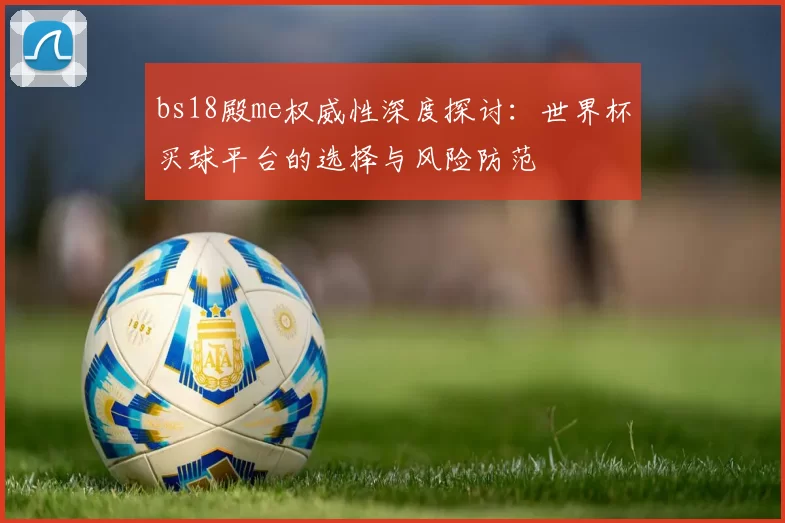 bs18殿me权威性深度探讨：世界杯买球平台的选择与风险防范