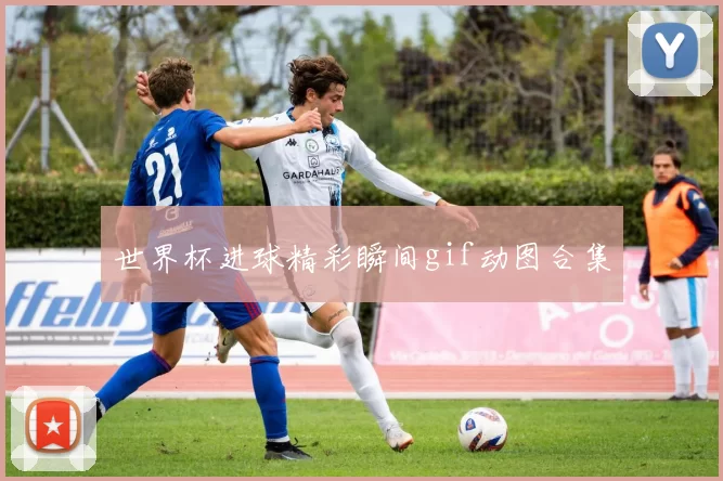 世界杯进球精彩瞬间gif动图合集