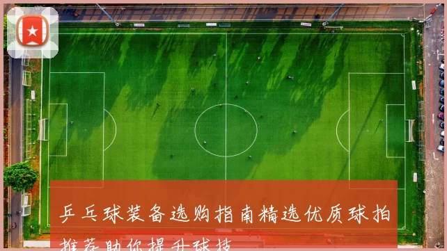 乒乓球装备选购指南精选优质球拍推荐助你提升球技