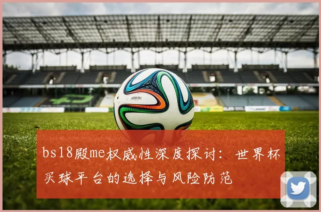 bs18殿me权威性深度探讨:世界杯买球平台的选择与风险防范