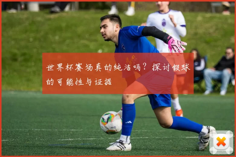 世界杯赛场真的纯洁吗？探讨假球的可能性与证据