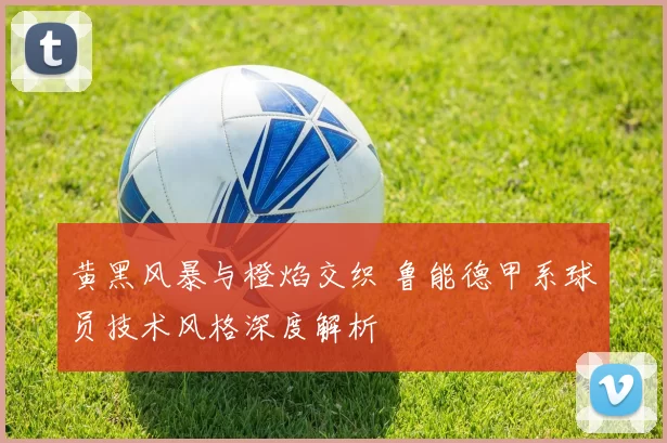 黄黑风暴与橙焰交织 鲁能德甲系球员技术风格深度解析