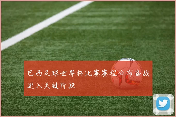 巴西足球世界杯比赛赛程公布备战进入关键阶段