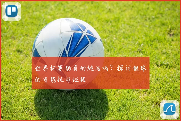 世界杯赛场真的纯洁吗？探讨假球的可能性与证据