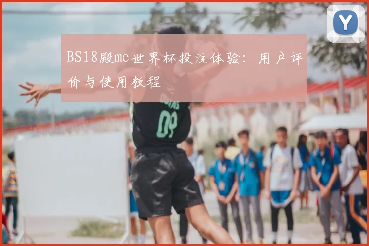 BS18殿me世界杯投注体验：用户评价与使用教程